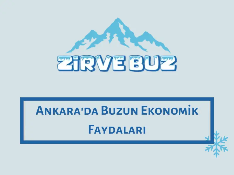 Ankara'da Buzun Ekonomik Faydaları